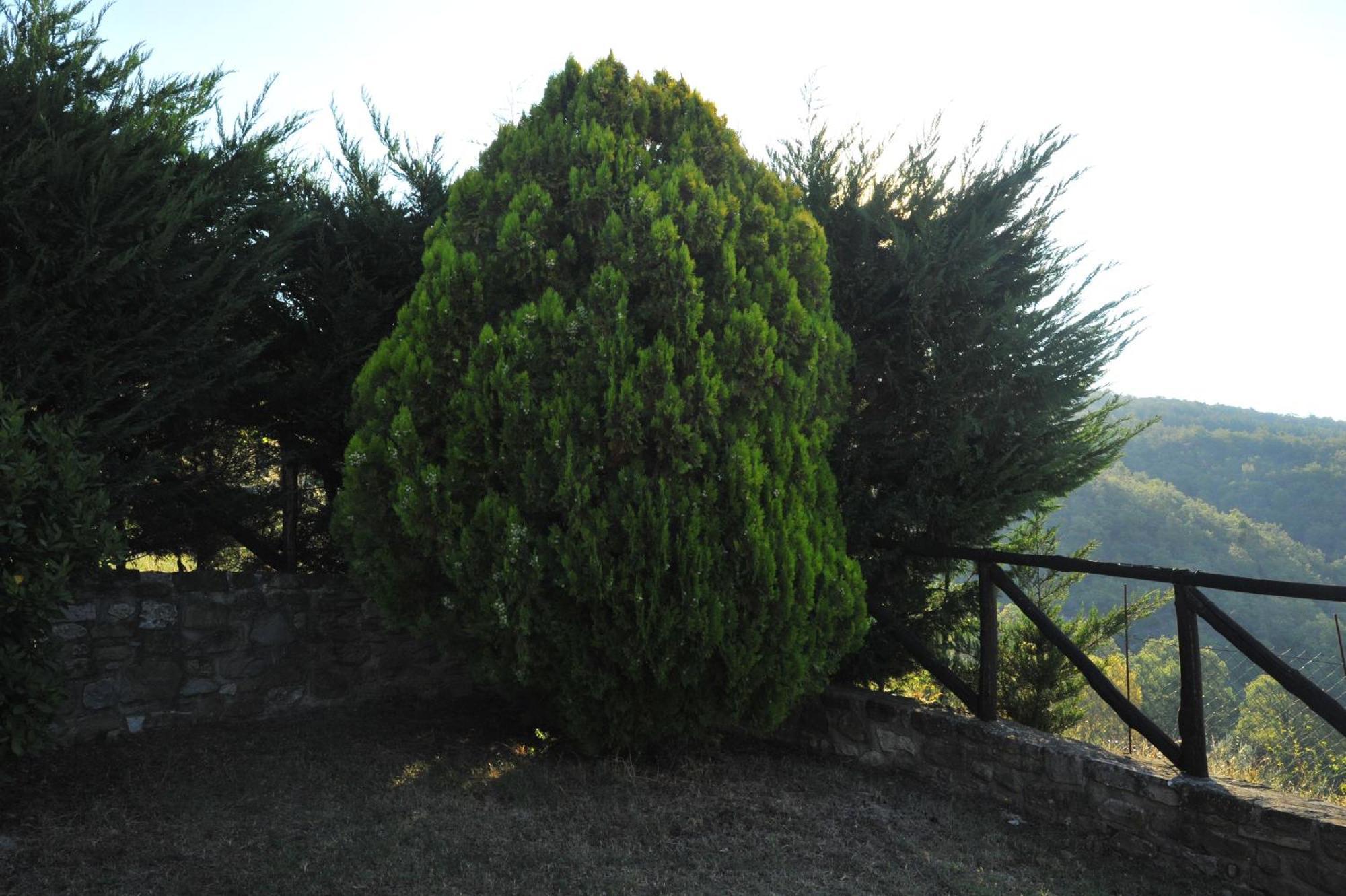 Agriturismo I Muri Monte Santa Maria Tiberina Екстер'єр фото